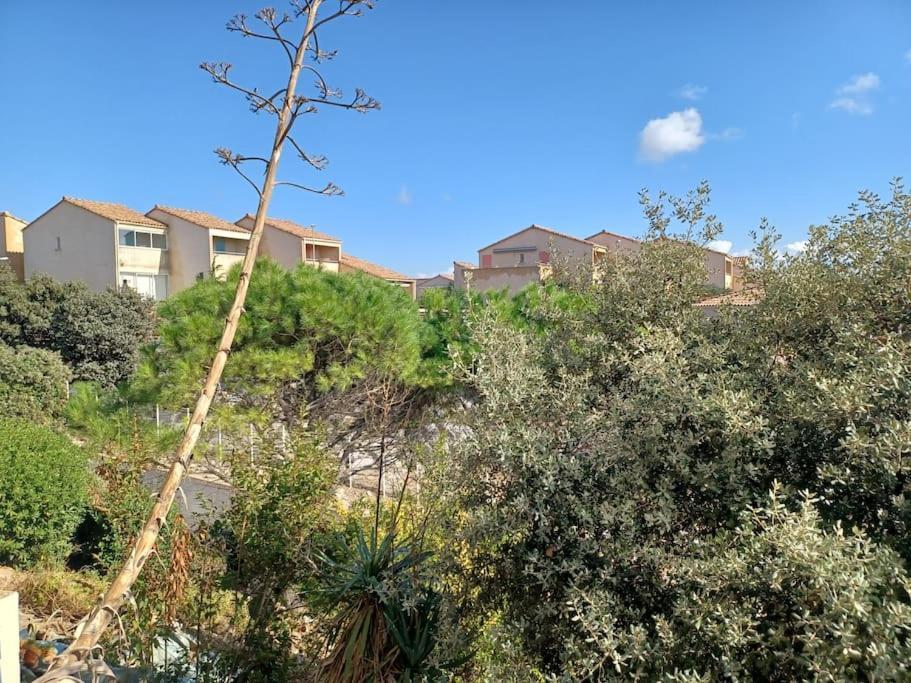 Plain-Pied, Terrasse, Piscine, Pleine Vue Mer, Plage A 6' A Pied, Parking, Wifi Fleury  Exteriér fotografie